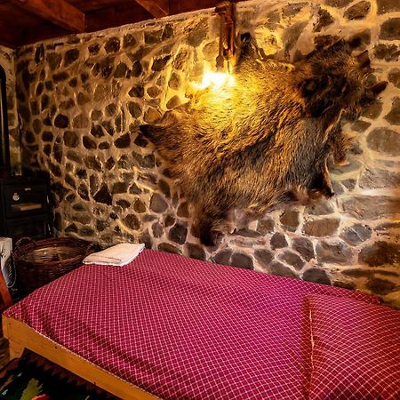 Villa Catunu' Lui Emil Carbunesti Esterno foto