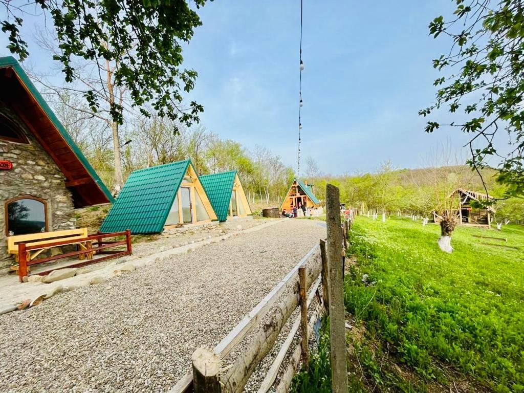 Villa Catunu' Lui Emil Carbunesti Esterno foto