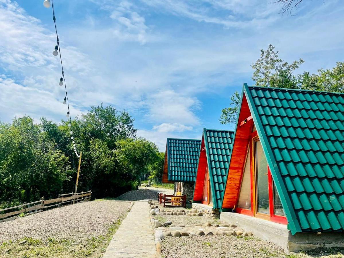 Villa Catunu' Lui Emil Carbunesti Esterno foto