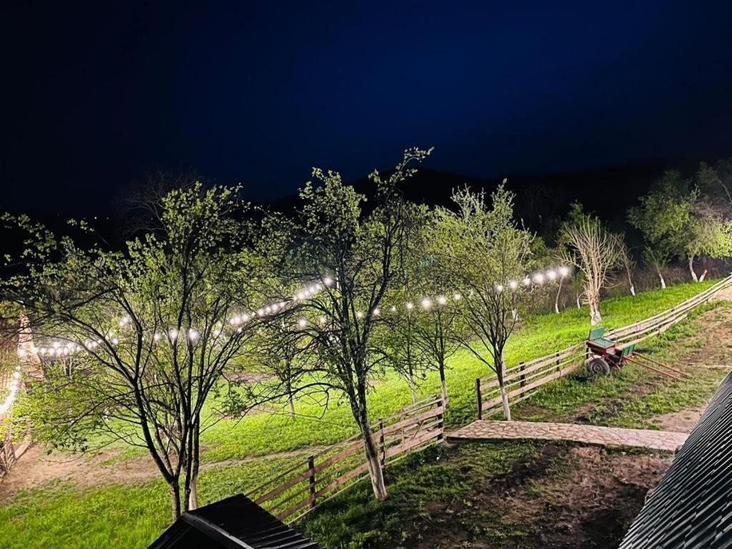 Villa Catunu' Lui Emil Carbunesti Esterno foto