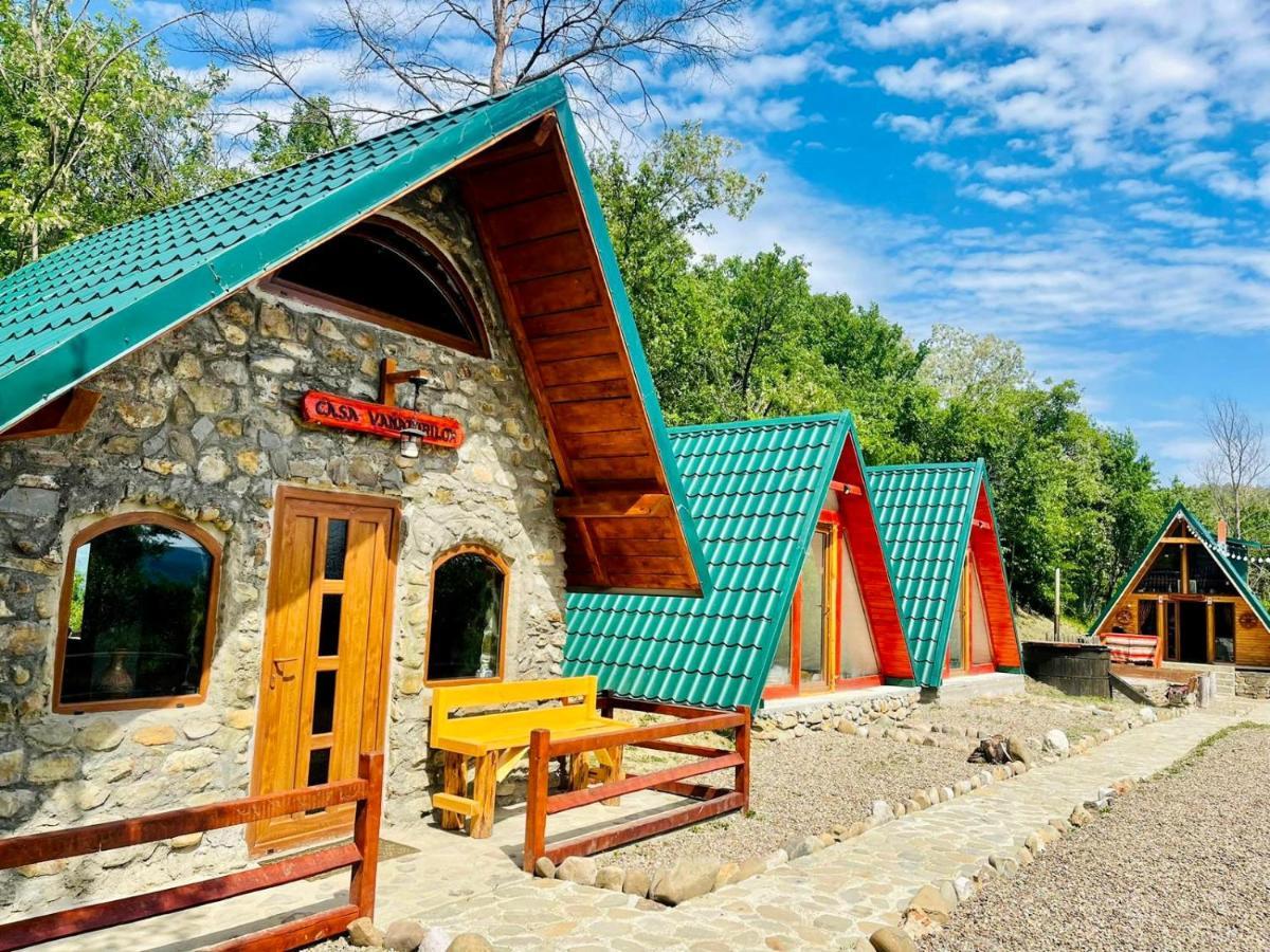 Villa Catunu' Lui Emil Carbunesti Esterno foto